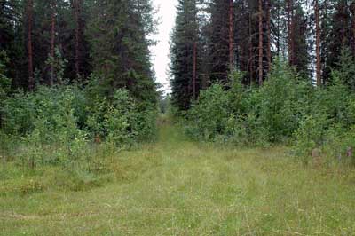 Här går man ned till Sunnansjö by från gamla vägen.